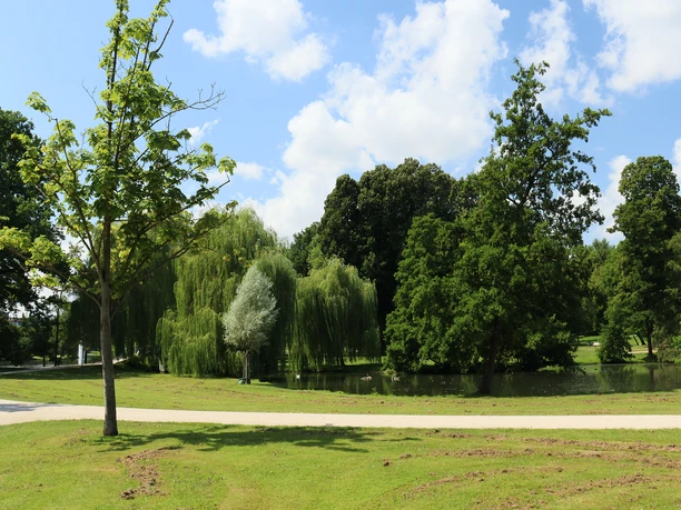 Stadtpark Frankfurt-Höchst