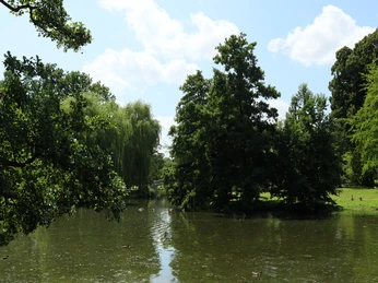 Stadtpark Frankfurt-Höchst