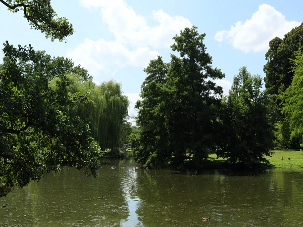 Stadtpark Frankfurt-Höchst