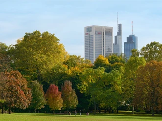 Grüneburgpark grün