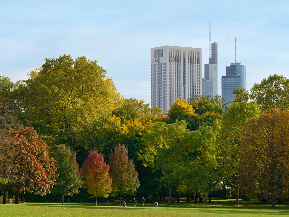 Grüneburgpark grün