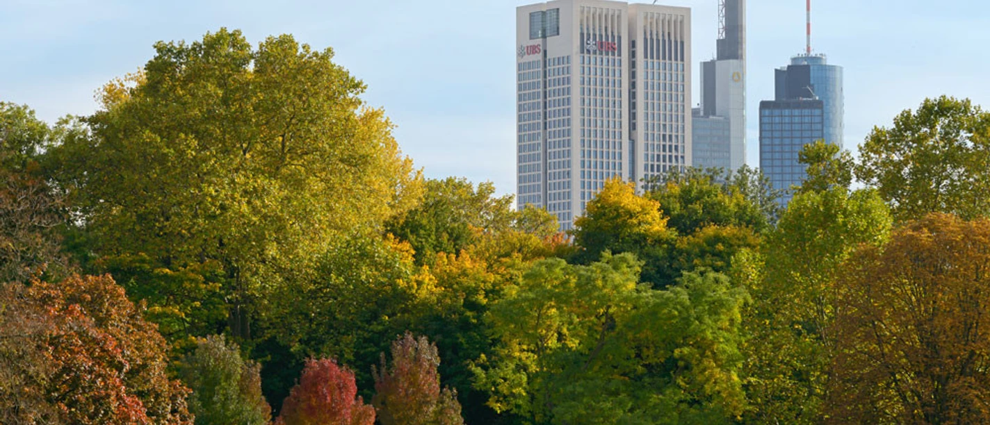 Grüneburgpark grün