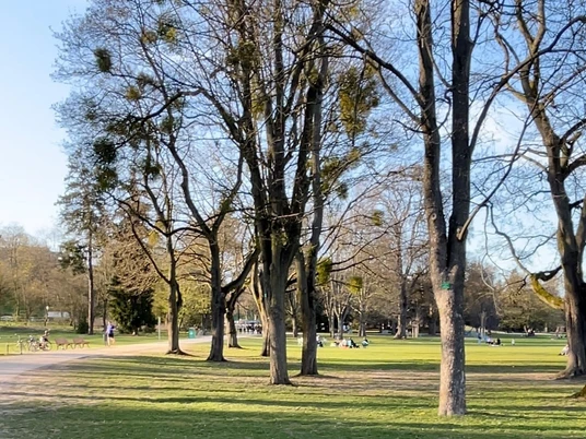 Ostpark Sonnenschein