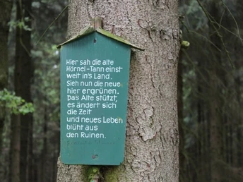 An der Hörneltanne in Olbernhau