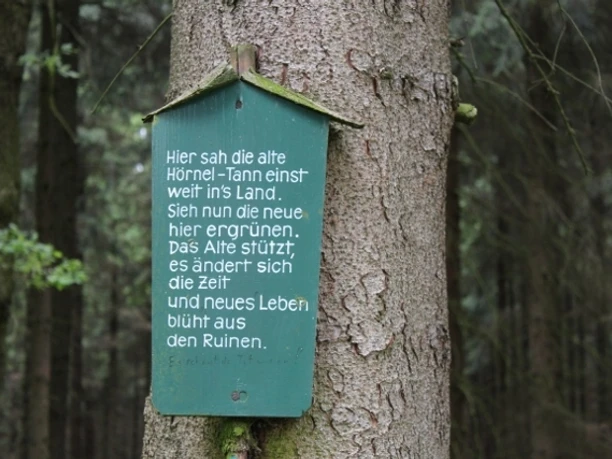 An der Hörneltanne in Olbernhau