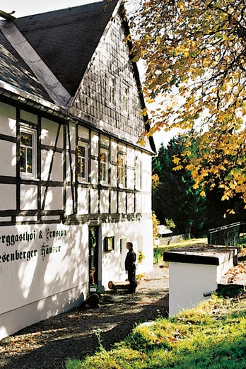 Riesenberger Häuser