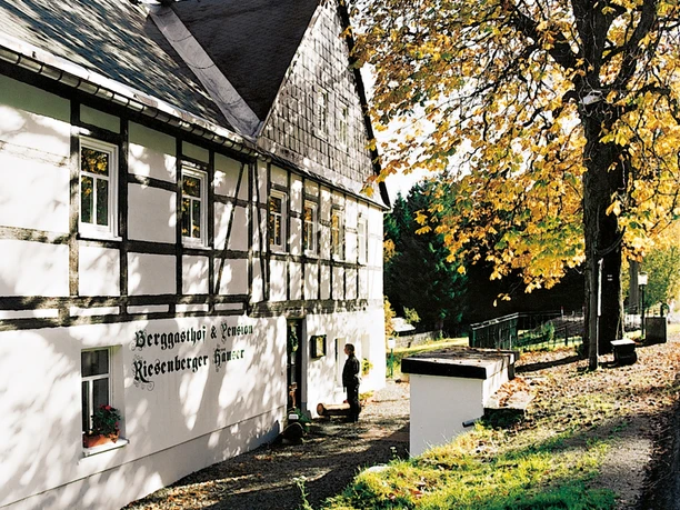Riesenberger Häuser