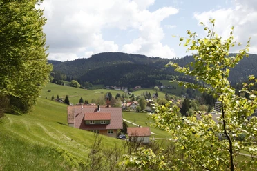 Obertal Buhlbach