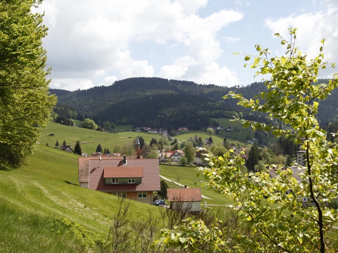 Obertal Buhlbach