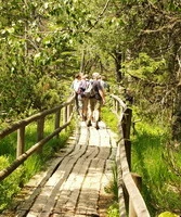 Bohlensteg Hochmoor Wildsee Kaltenbronn