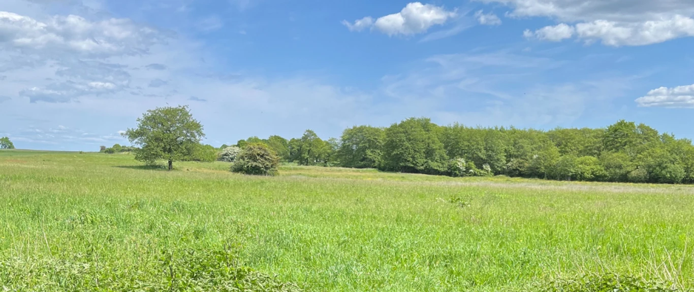 Løjtland 2023 GDK 1024x576