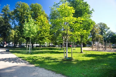 Baumschulwäldchen