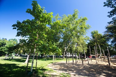 Baumschulwäldchen