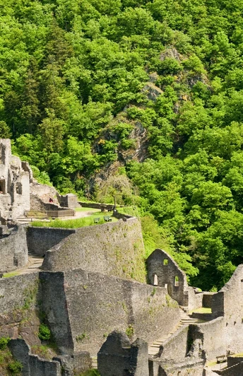 Wanderweg Manderscheider Burgenstieg: Niederburg