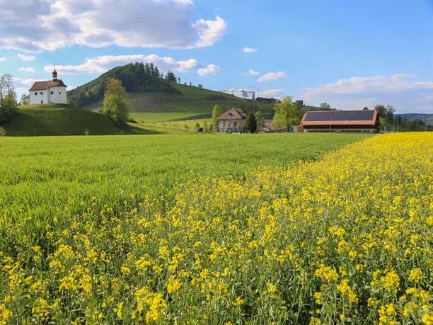 Ferme d'aventure Burgrain