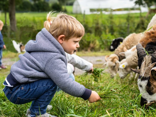 Burgrain Adventure Farm