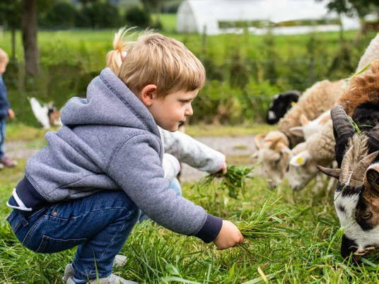 Ferme d'aventure Burgrain