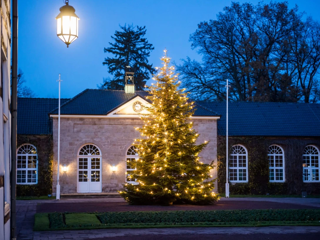 Bad Driburg - Weihnachtsbaum im Gräflichen Park Weihnachtsbaum erstrahlt vor historischem Gebäude im Gräflichen Park, abendliche Beleuchtung.
