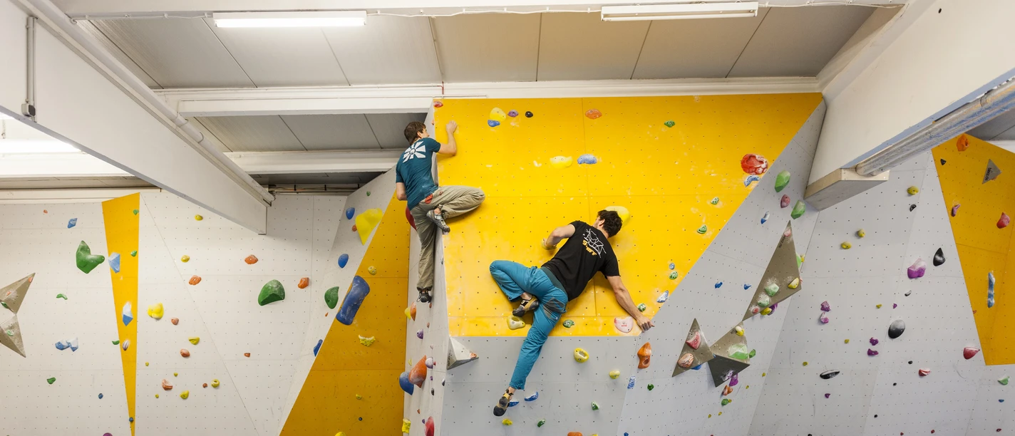 Zwei Personen klettern in einer hellen, modernen Kletterhalle mit farbigen Griffen an der Wand.
