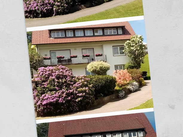 IMG_20200521_114630-COLLAGE
