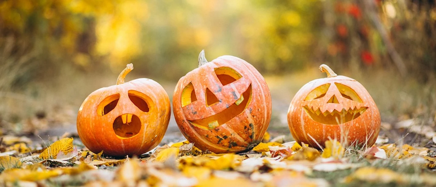 pumpkin-pixabay_Mayur_Gadge.jpg