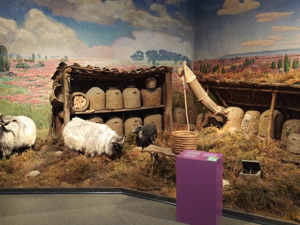 Bomann-Museum - Bienenzimmer Lüneburger Heide
