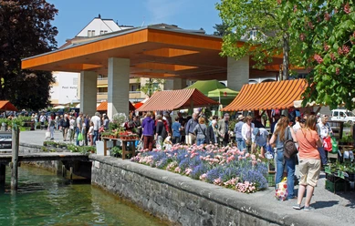 Marché aux plantons ProSpecieRara Marché aux plantons ProSpecieRara sur le quai de Weggis