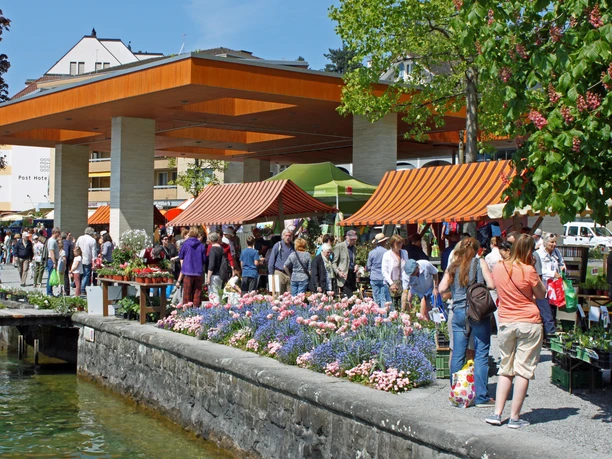 Marché aux plantons ProSpecieRara Marché aux plantons ProSpecieRara sur le quai de Weggis
