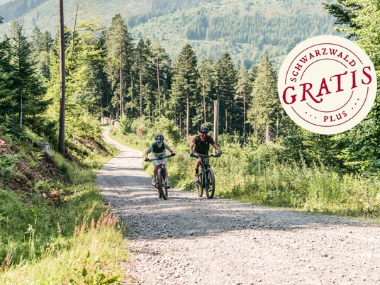 Tour entlang der Winter- und Sommerseite