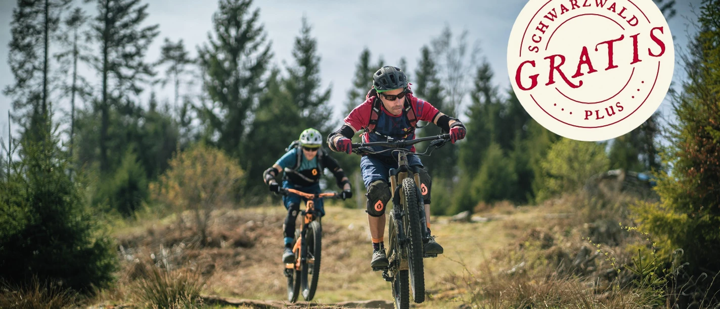 Scharfe Kurven im MTB Wanderhimmel