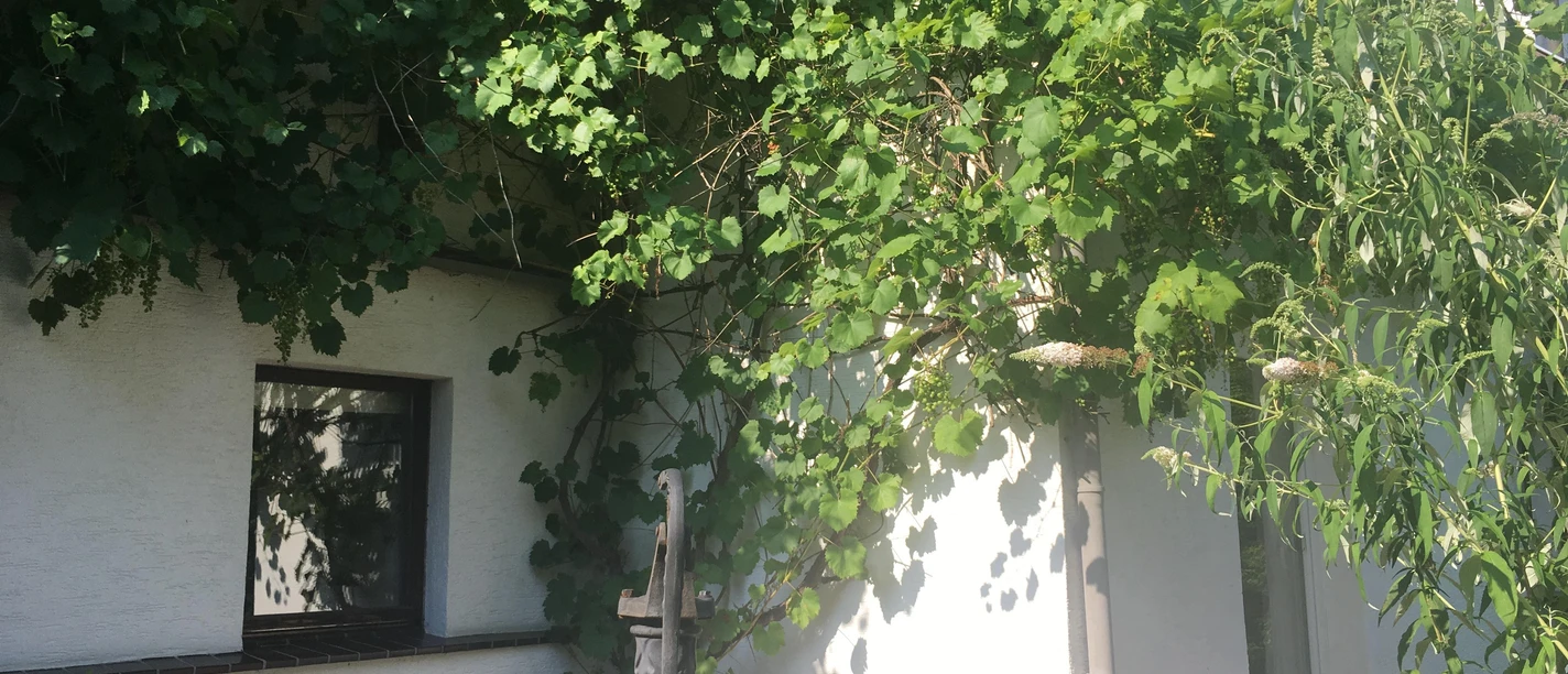 Ferienhaus Wilms mit eigenem Garten