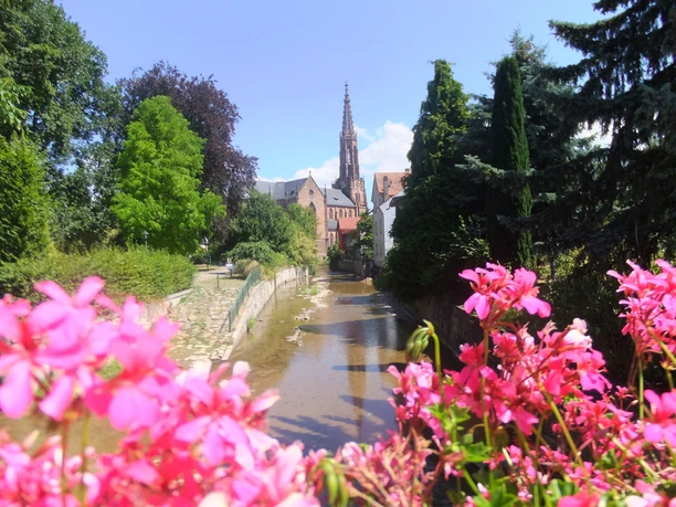 Pfarrkirche St. Peter & Paul