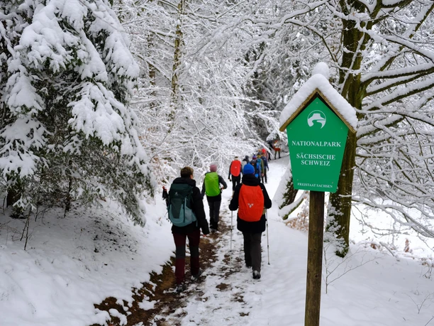 Geführte Winterwanderung des Tourist Service Bad Schandau Menschen wandern auf einem verschneiten Pfad im Nationalpark Sächsische Schweiz, umgeben von schneebedeckten Bäumen und einem grünen Parkschild.