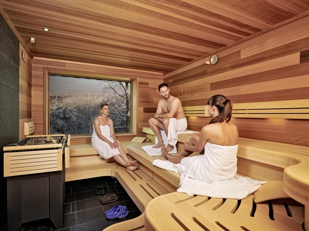 Three people in towels sit in a wooden sauna with a large window showing a snowy landscape. Relaxed atmosphere.