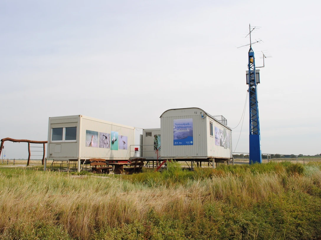 NESt Sehestedt_Joke Pouliart.JPG