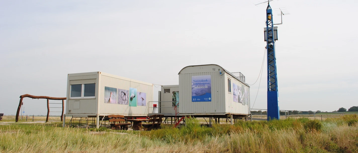 NESt Sehestedt_Joke Pouliart.JPG