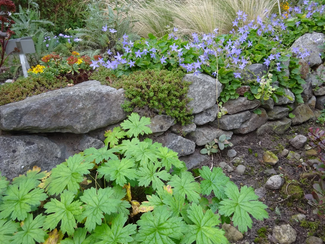 KiWiMedia_Webcode_23557068_Anke Müller_2023-10-30.JPG