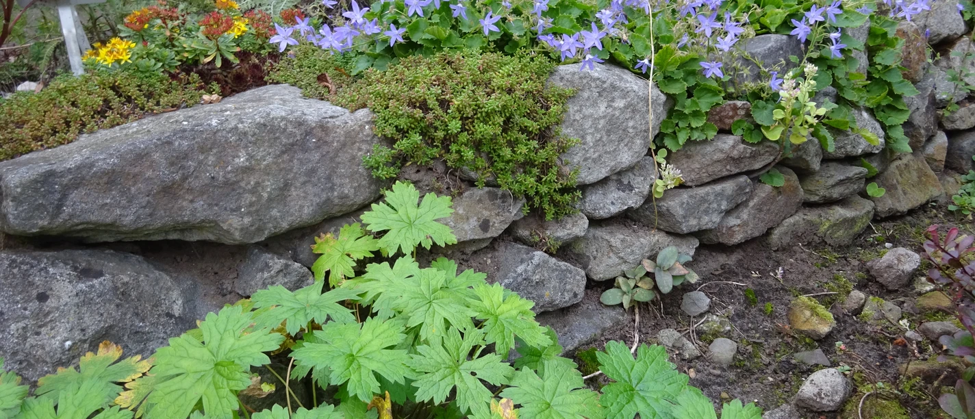 KiWiMedia_Webcode_23557068_Anke Müller_2023-10-30.JPG