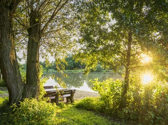 Heideschleife Müden Örtze Heideschleife Müden Örtze Heath loop Müden ÖrtzeHede loop Müden ÖrtzeHeide loop Müden Örtze