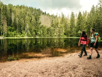 Wildsee im Nationalpark Schwarzwald