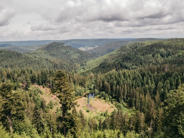Ellbachseeblick in Baiersbronn