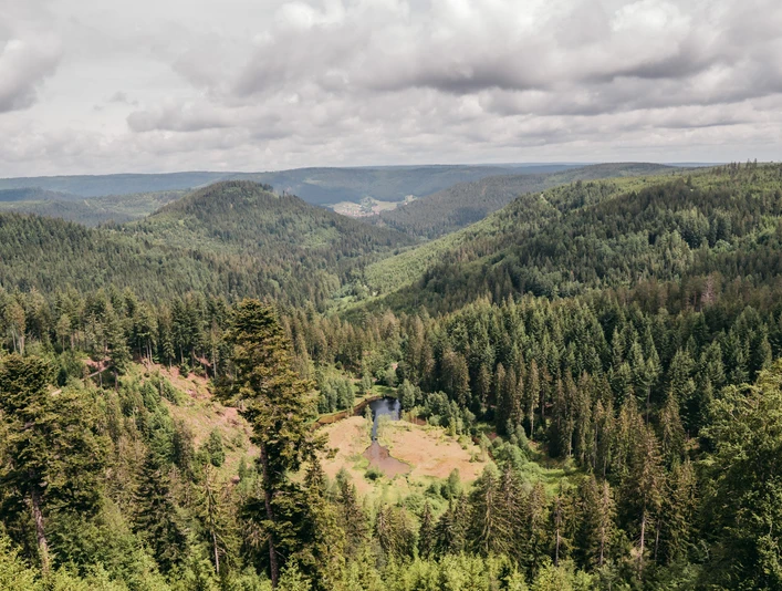 Ellbachseeblick in Baiersbronn