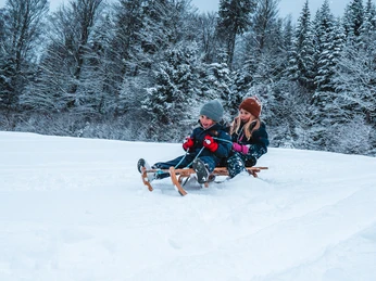 Rodeln in Baiersbronn