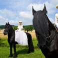 Reiten im Damensattel_Gut Dankerode