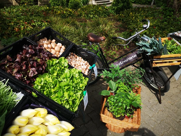 Willebadessen Hofladen Engemann Verschiedene frische Gemüsesorten und Kräuter in Körben neben einem Lastenfahrrad auf Kopfsteinpflaster.