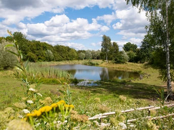 Nieheimer Tongruben.jpg Natürlicher See mit Wildblumen im Vordergrund, umgeben von Bäumen und einem blauen Himmel.