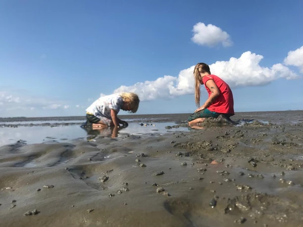 Watt für die Kleinen.png