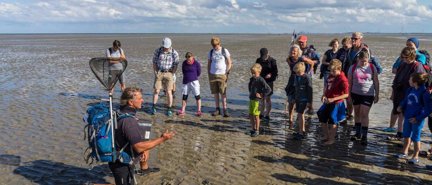 Wattwanderung zur Vogelschutzinsel Minsener Oog.png