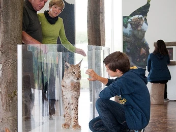 Ausstellung NationalparkZentrum