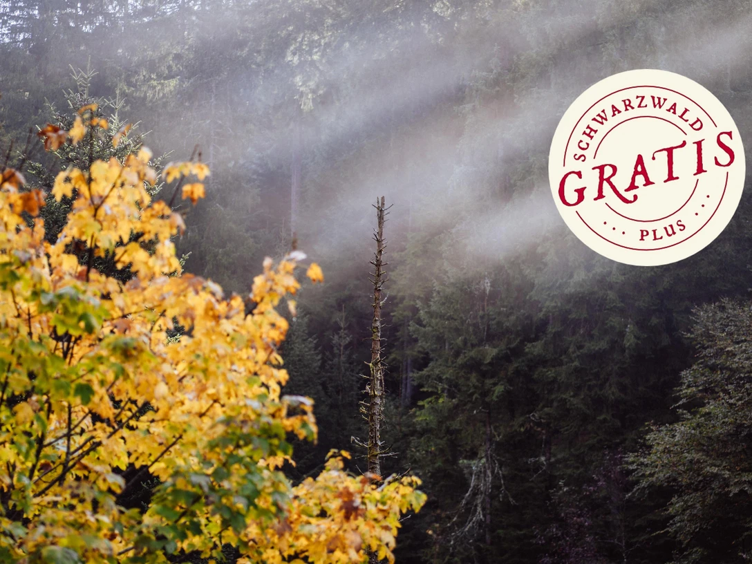 Ersatzwanderung statt Schneeschuh-Tour